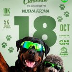 Tsunami dice presente en los 10K y 5K de Barquisimeto por el Día Mundial de los Animales