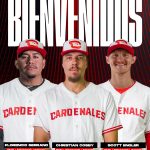 Cardenales de Lara asegura sus primeros tres lanzadores importados para la temporada 2026-2027 de la LVBP