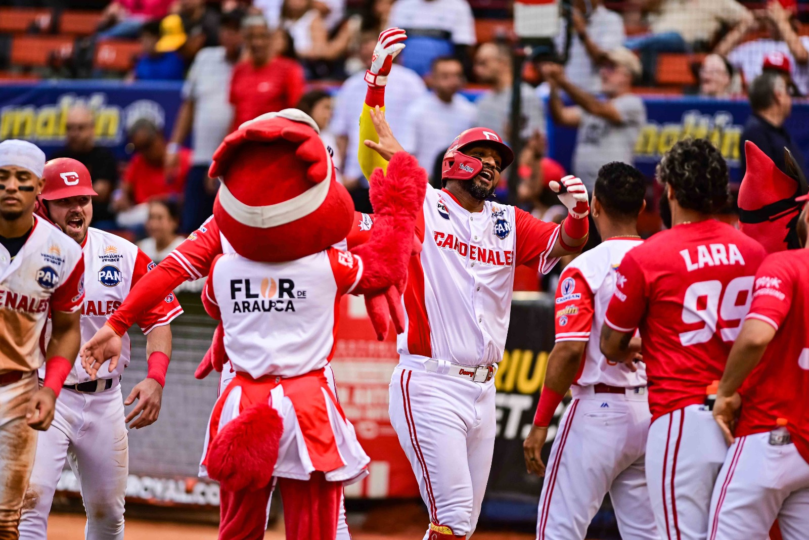 Cardenales de Lara derrota a los Tigres y consolida el liderato al cierre de la segunda semana